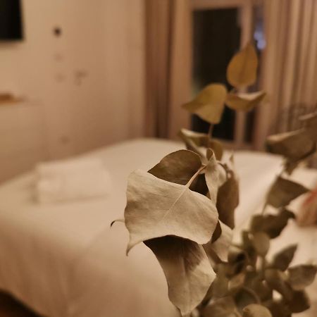 Aracoeli 20 Bed & Breakfast Cassano delle Murge Bagian luar foto